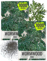 Seed Needs Wormwood Herb Seeds front view packaging