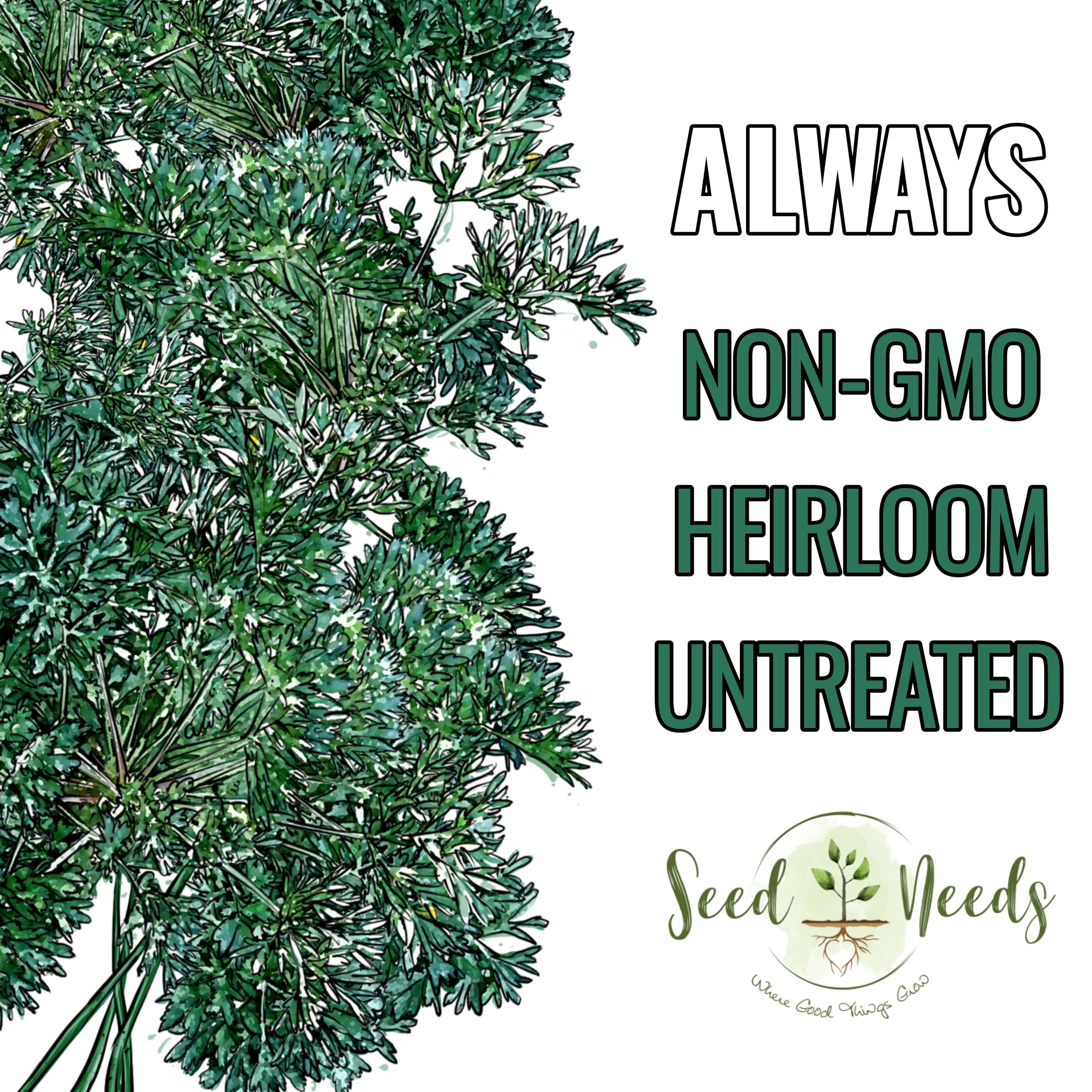 Seed Needs Wormwood seeds in a garden setting
