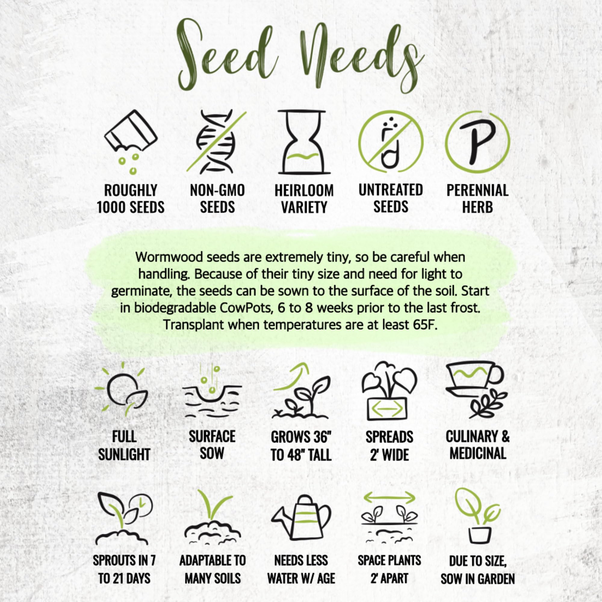 Seed Needs Wormwood seeds with fresh soil and gardening pot
