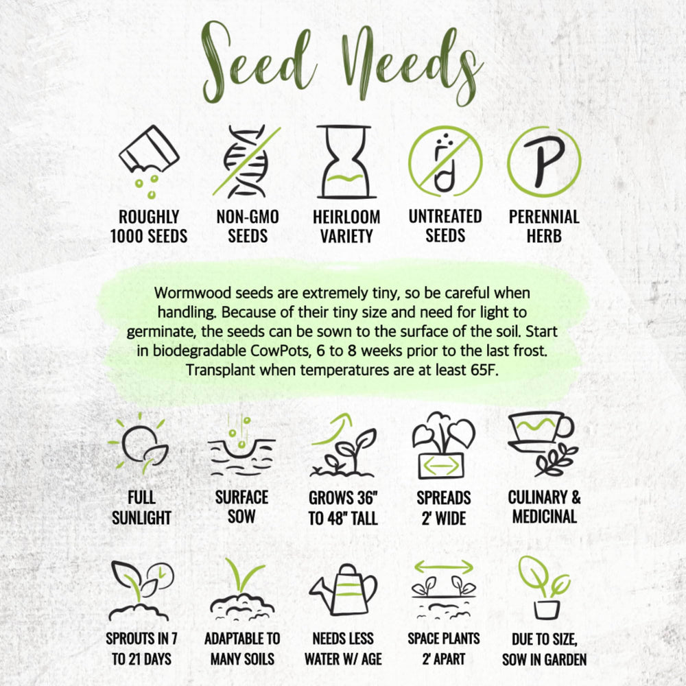 Seed Needs Wormwood seeds with fresh soil and gardening pot