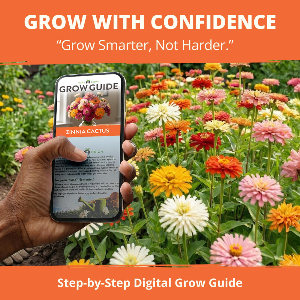 Seed packet details and instructions for Zinnia Cactus Mix