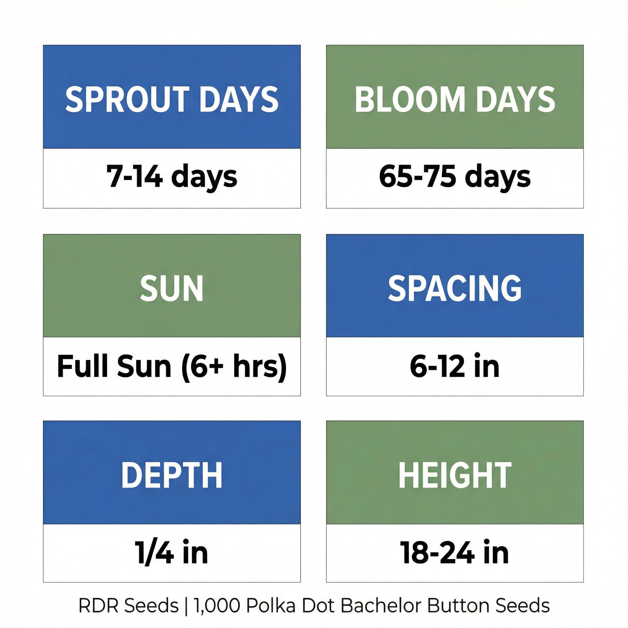 Seed packet details of RDR Seeds Polka Dot Bachelor Button Seeds