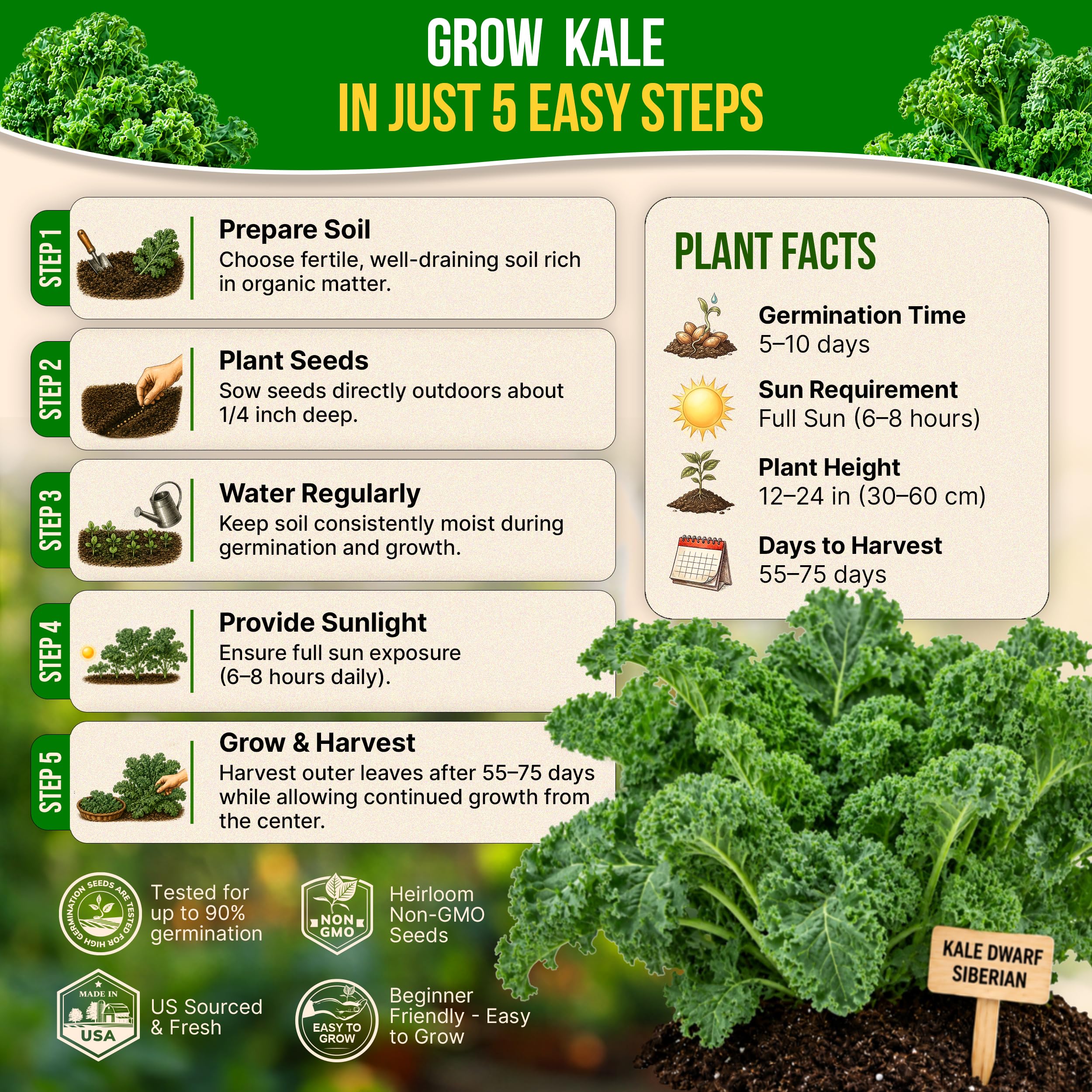 Seed packet showing QR code for growing guide