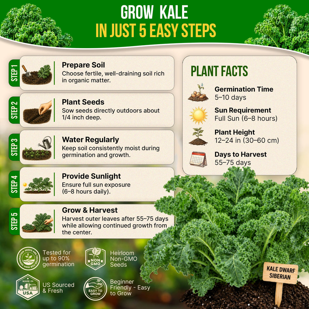 Seed packet showing QR code for growing guide