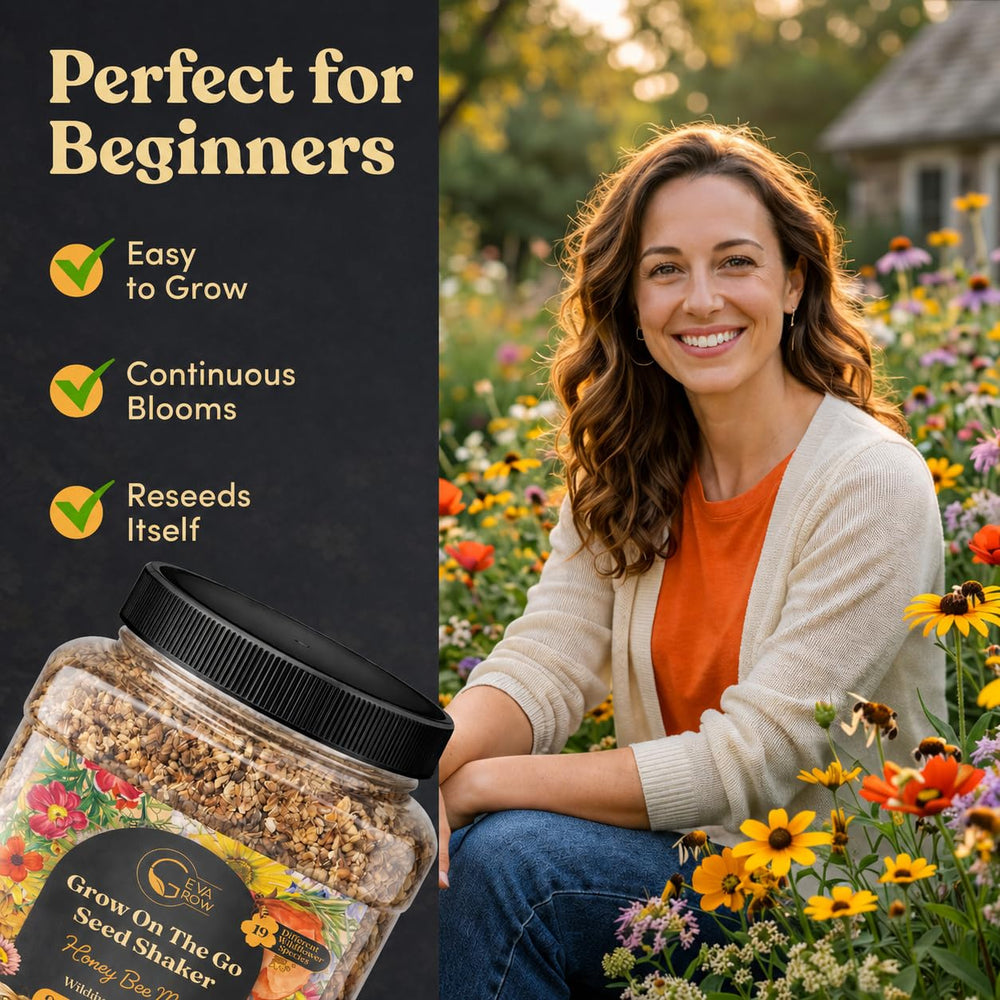 Seed planting process with GevaGrow wildflower seeds