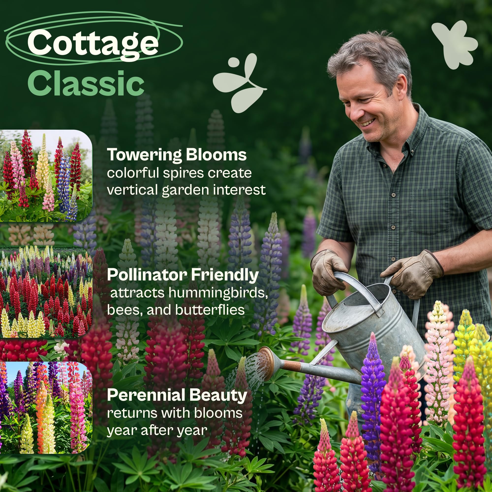 Seed preparation instructions for Russell Lupine seeds