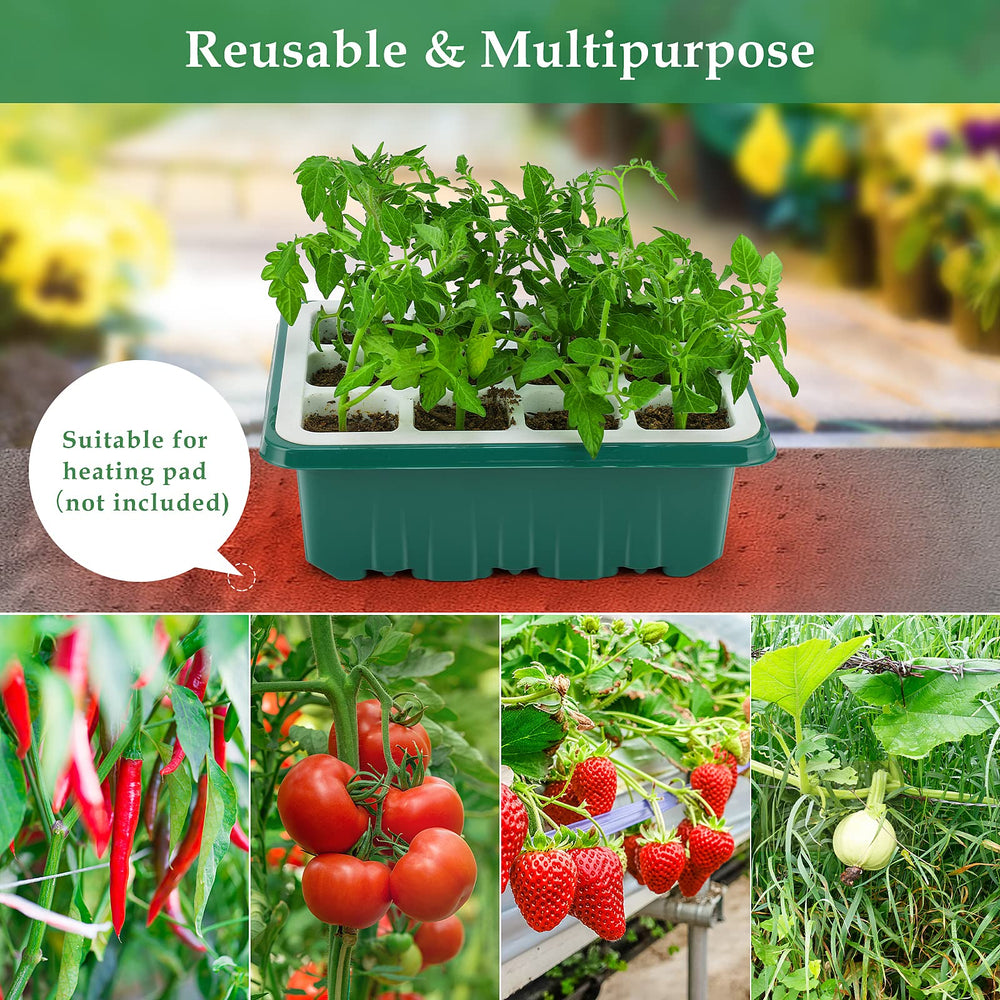 Seed starter tray kit with humidity dome shown from above