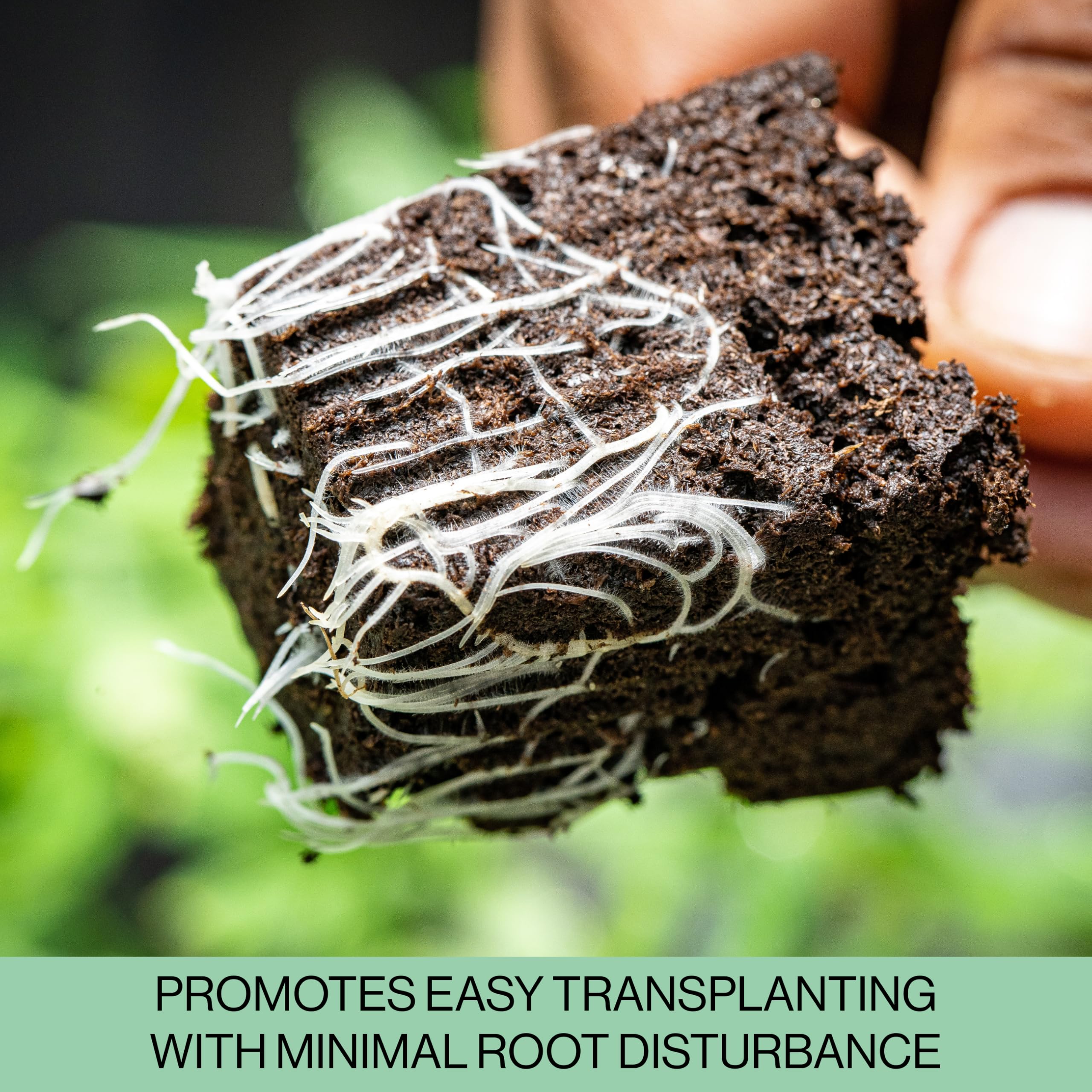 Seed starter trays showing drainage slits for water management