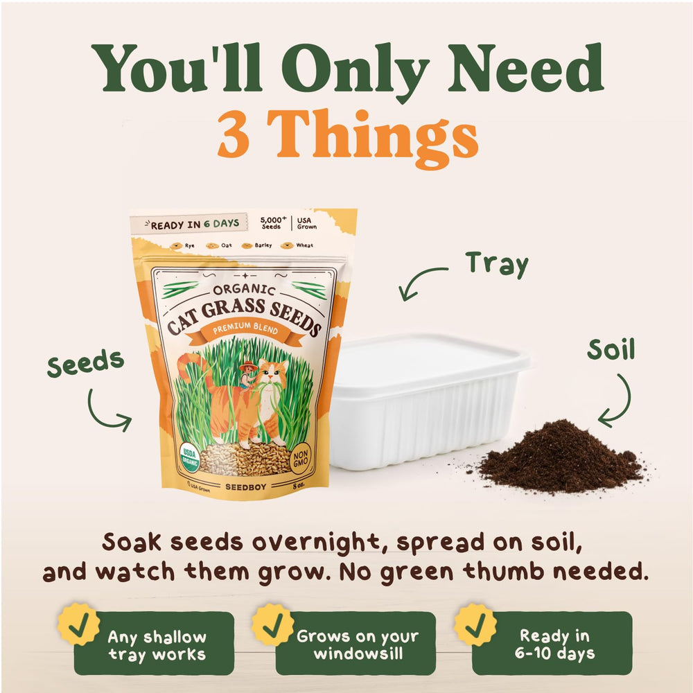 Seedboy Cat Grass Seeds in resealable bag