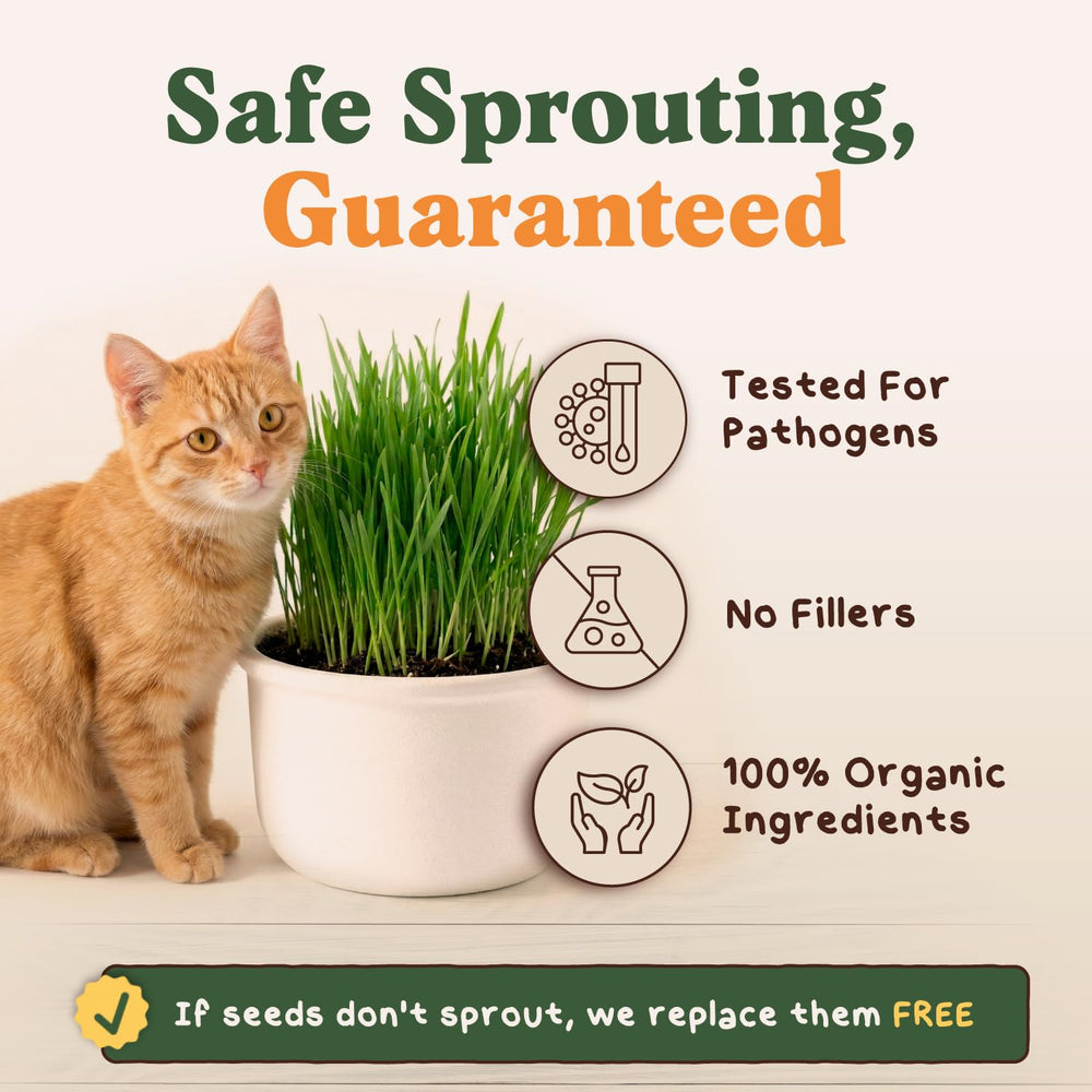 Seedboy Cat Grass Seeds packaging details