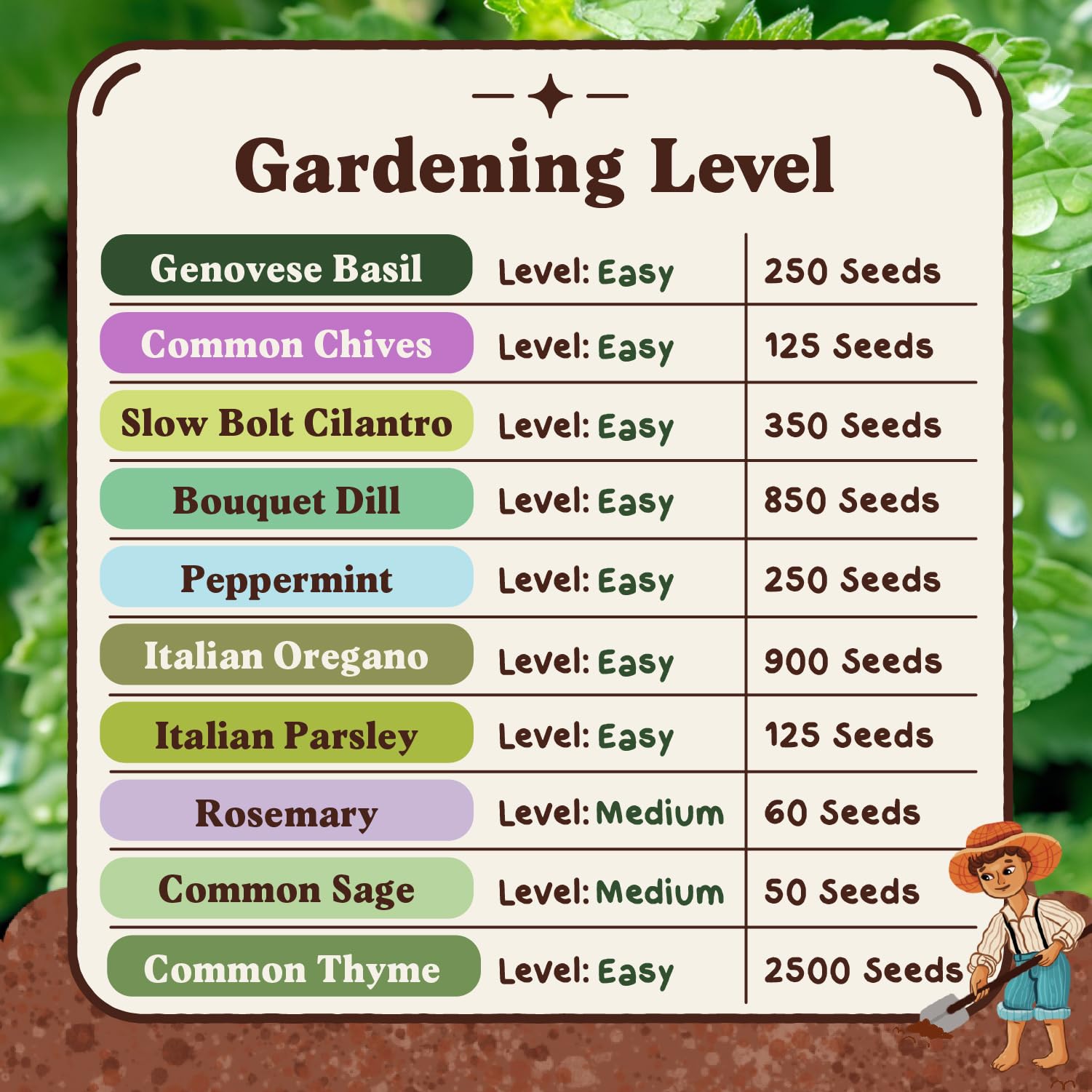 Seedboy herb seeds variety pack with seed counts