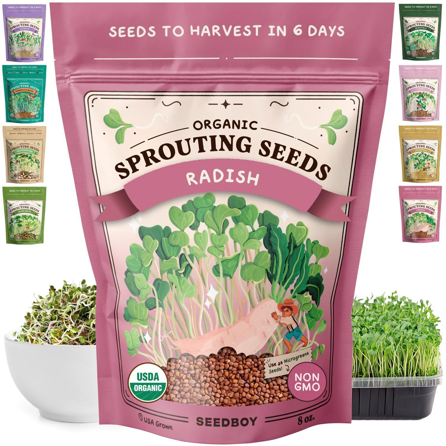 Seedboy Organic Daikon Radish Sprouting Seeds package front view