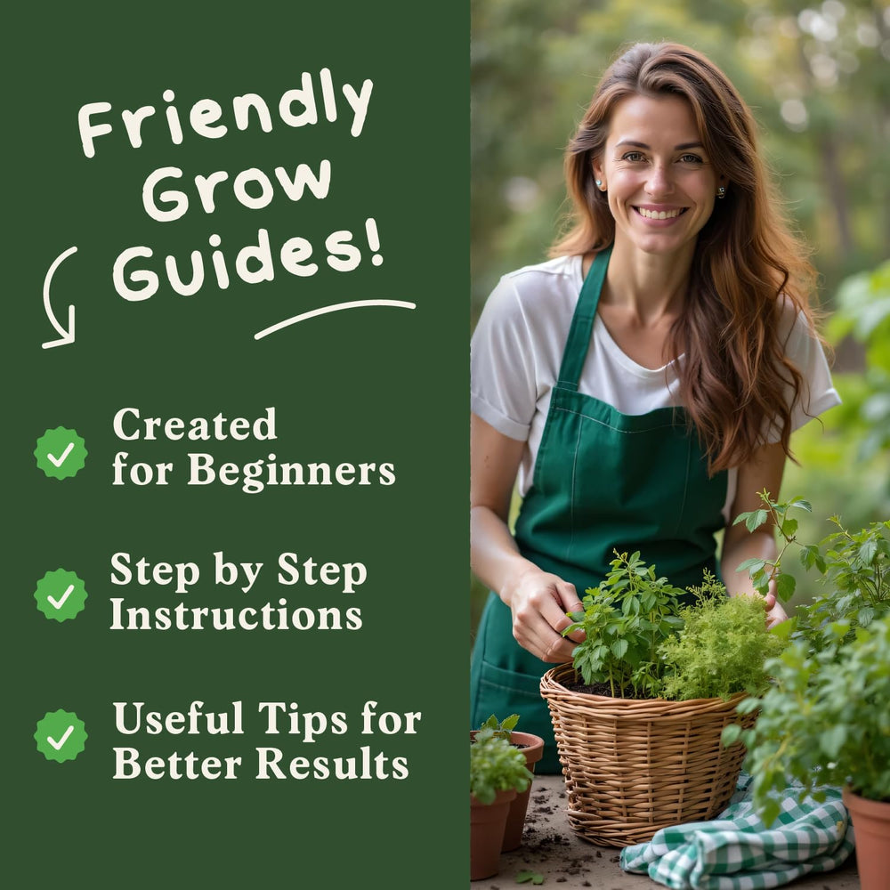 Seedboy Organic Non-GMO herb seeds display