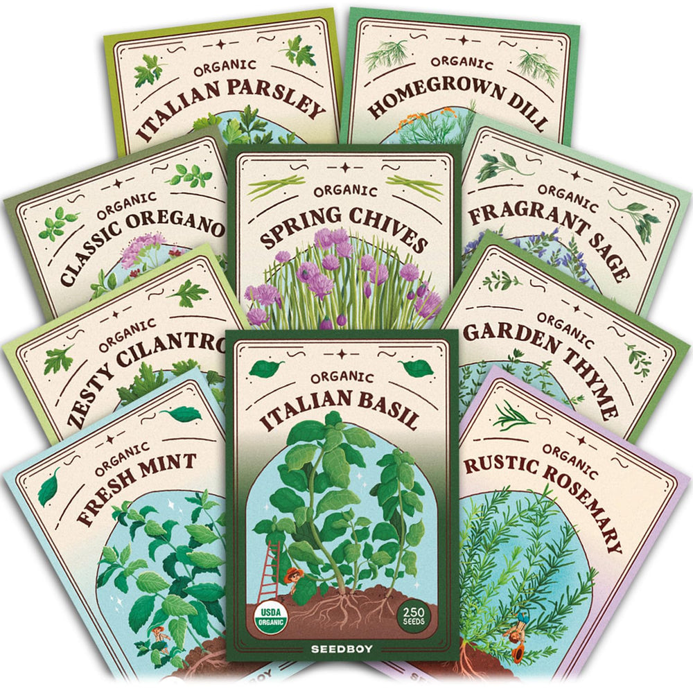 Seedboy Organic Non-GMO Herb Seeds Variety Pack front view