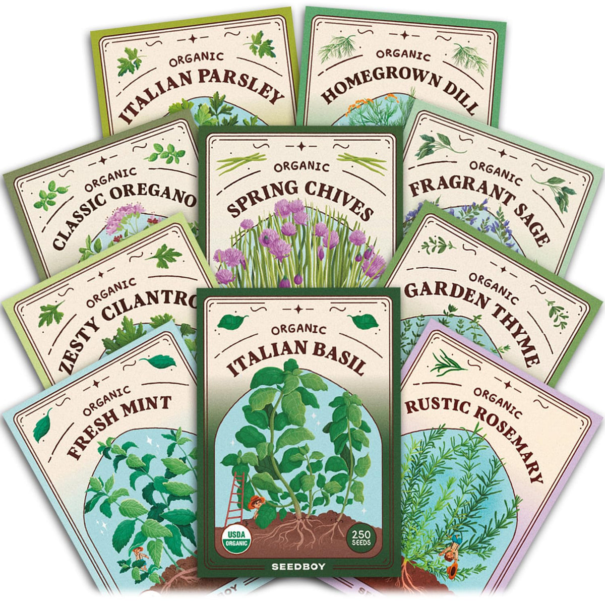 Seedboy Organic Non-GMO Herb Seeds Variety Pack front view