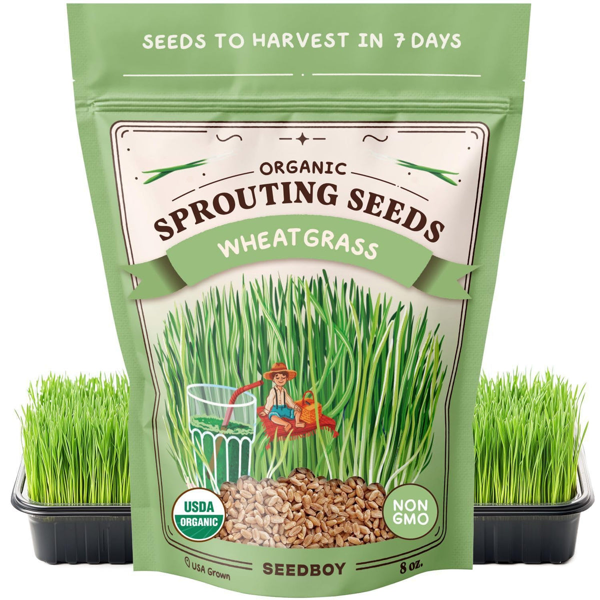 Seedboy Organic Non-GMO Wheatgrass Seeds package front view