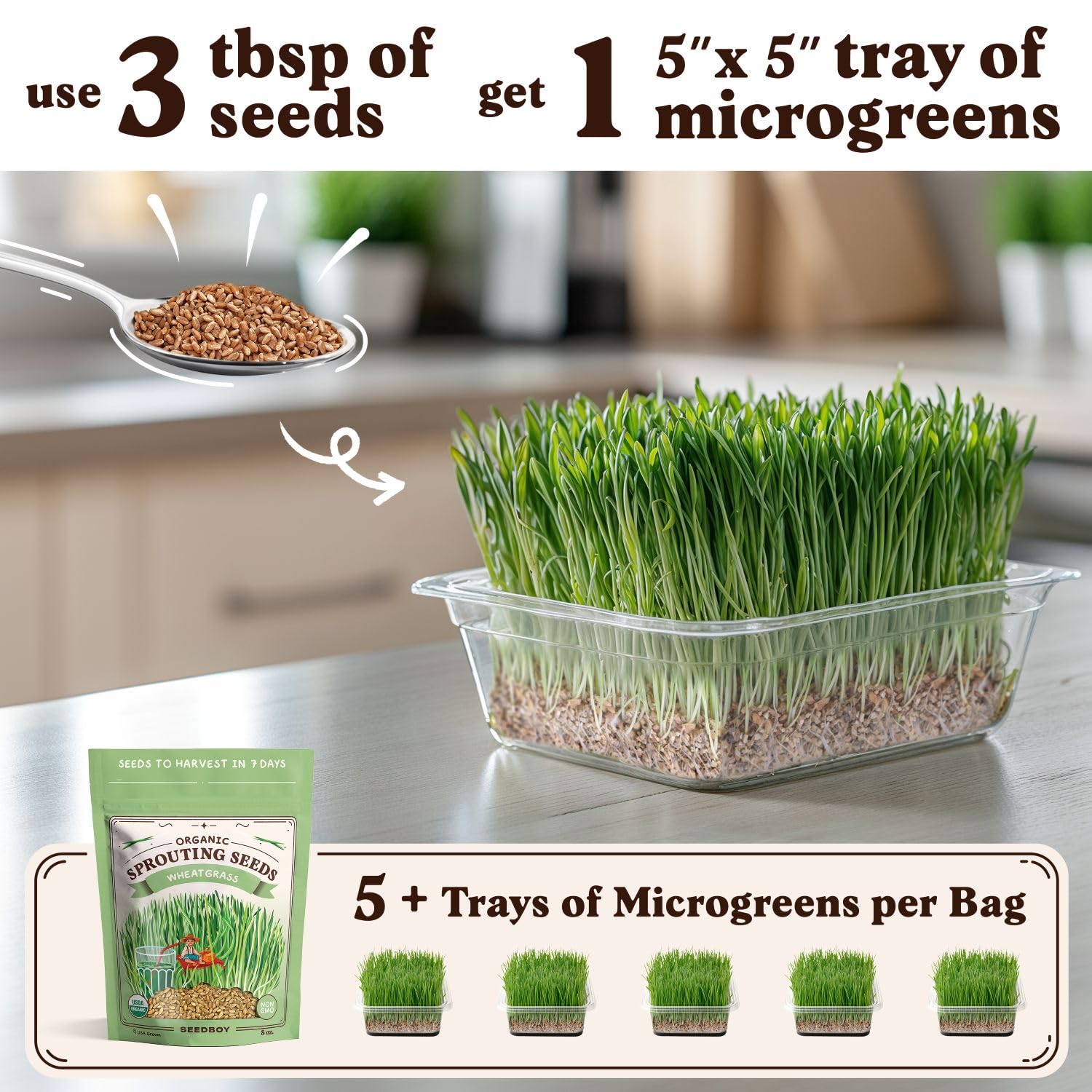 Seedboy Organic Wheatgrass Seeds in a tray with fresh sprouts