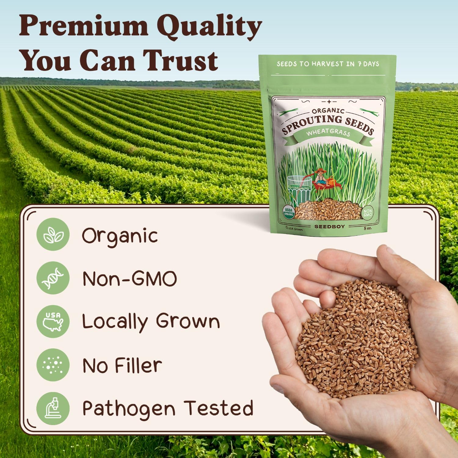 Seedboy Organic Wheatgrass Seeds pack side view showing nutritional benefits