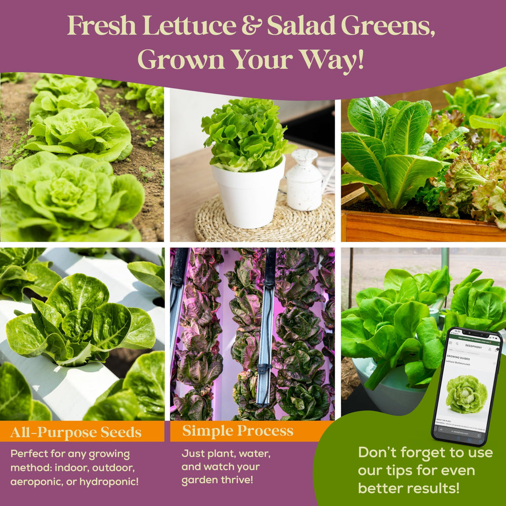 Seedphony gardening kit with QR code for growing guide