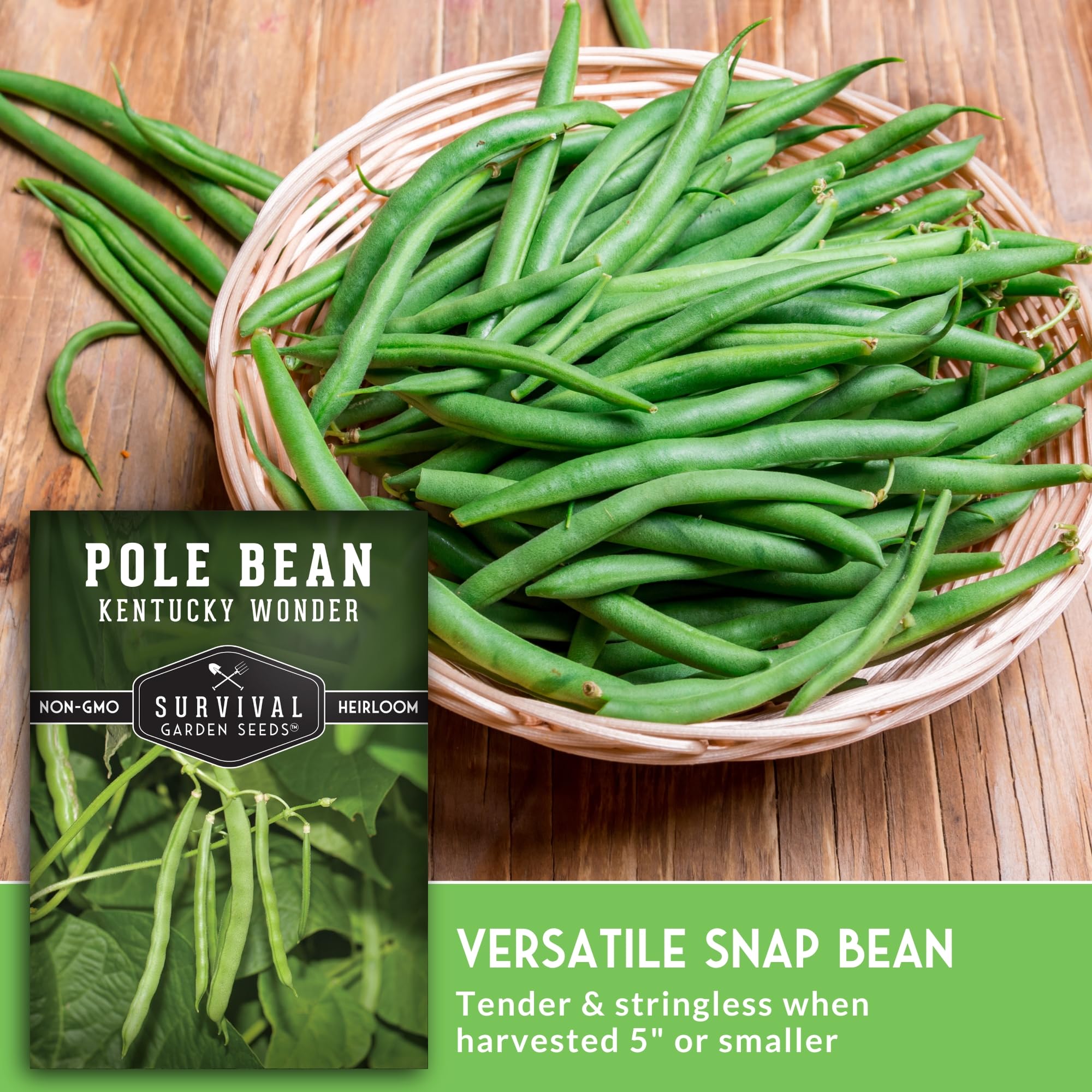 Seeds from the Kentucky Wonder Pole Bean pack