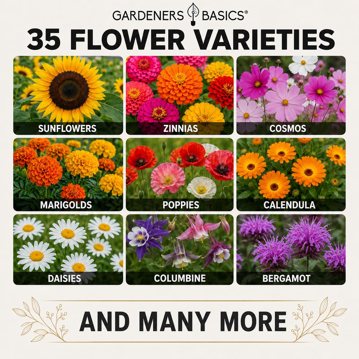 Seeds suitable for creating a pollinator-friendly garden