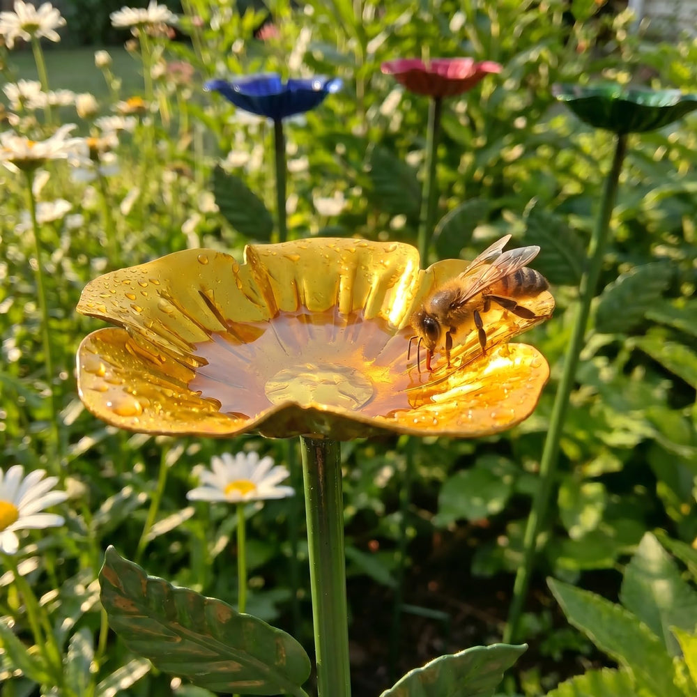 SEEKOGO Bee Watering Station, multicolor design in a backyard