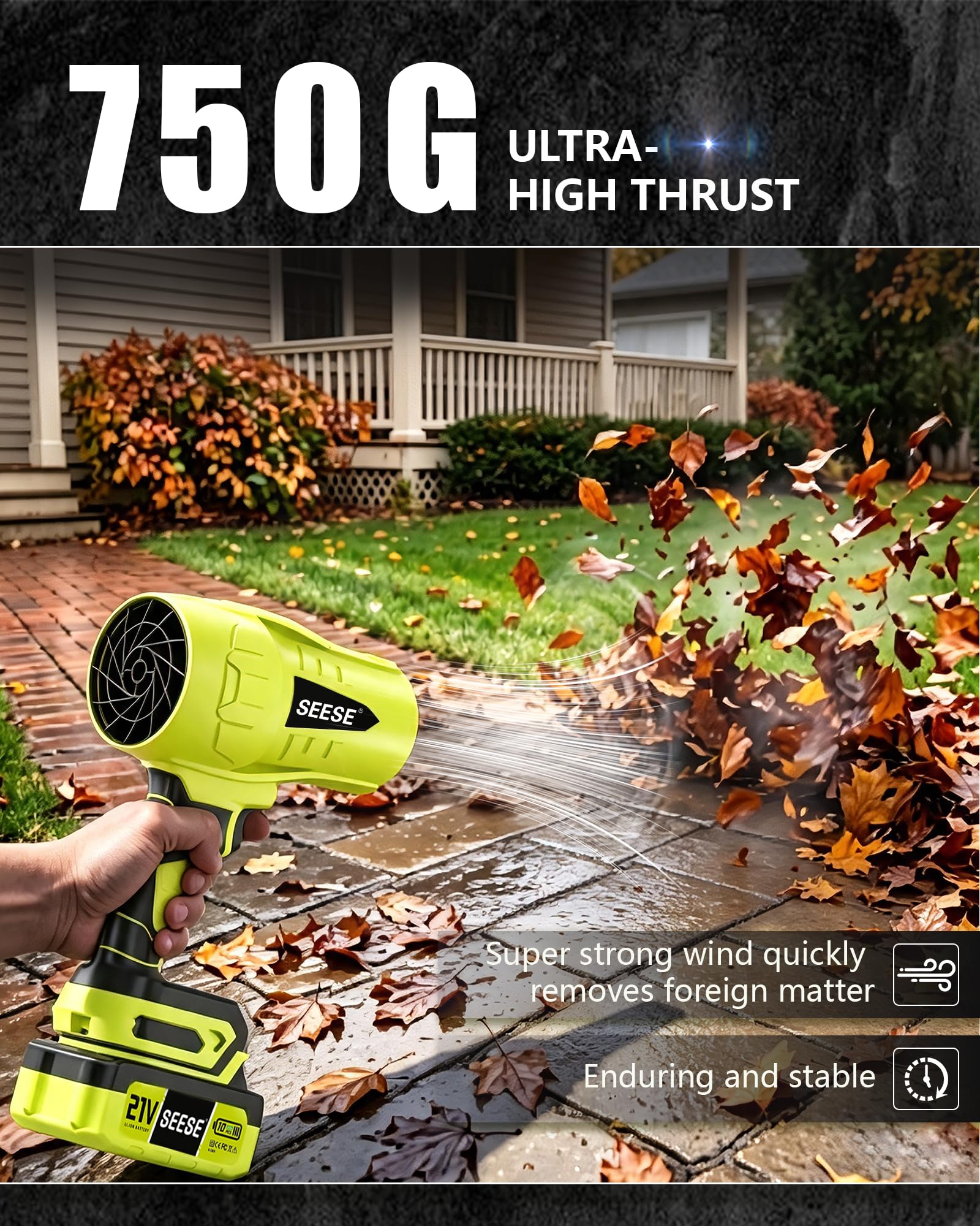 Seese Leaf Blower drying a car surface after washing