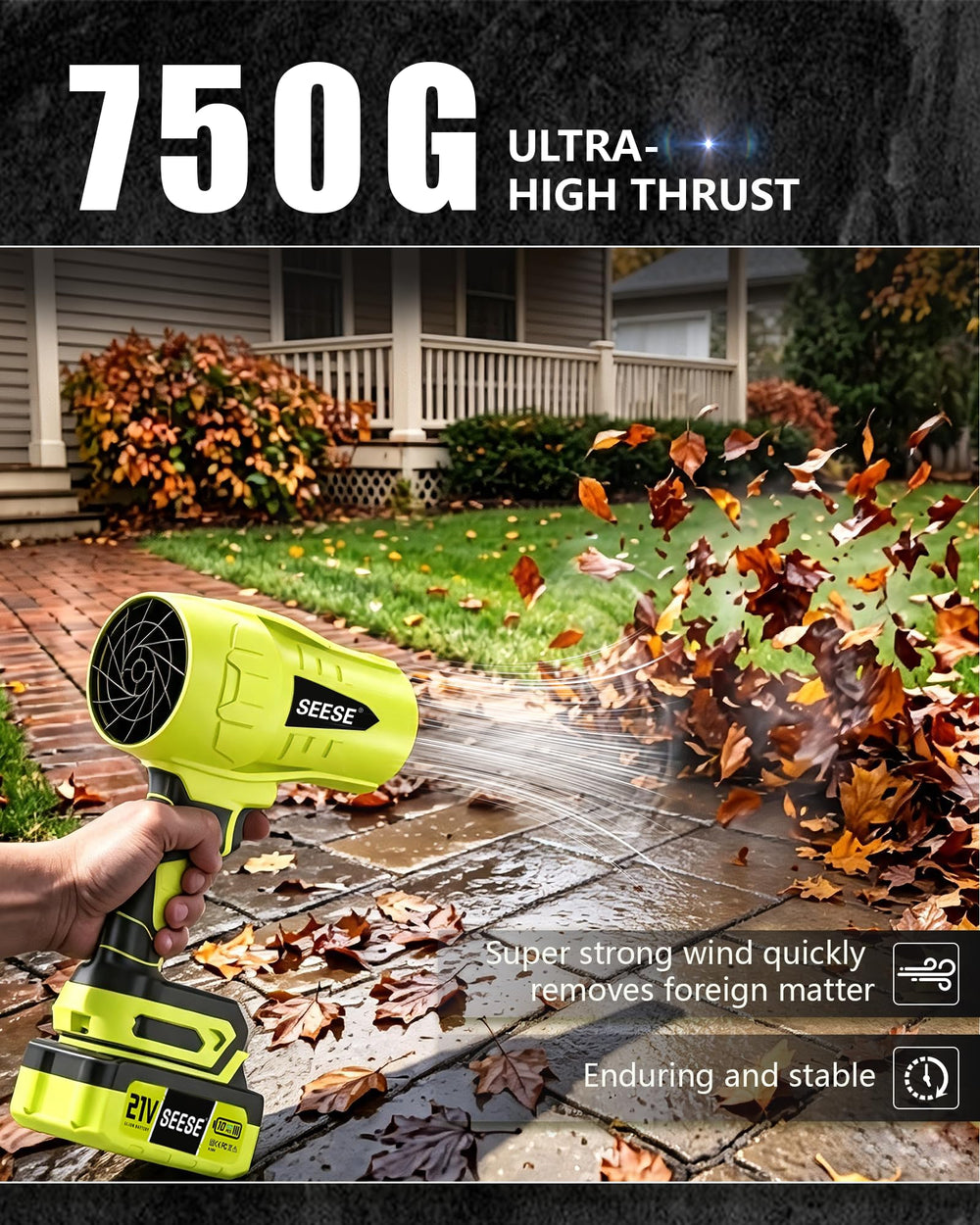 Seese Leaf Blower drying a car surface after washing