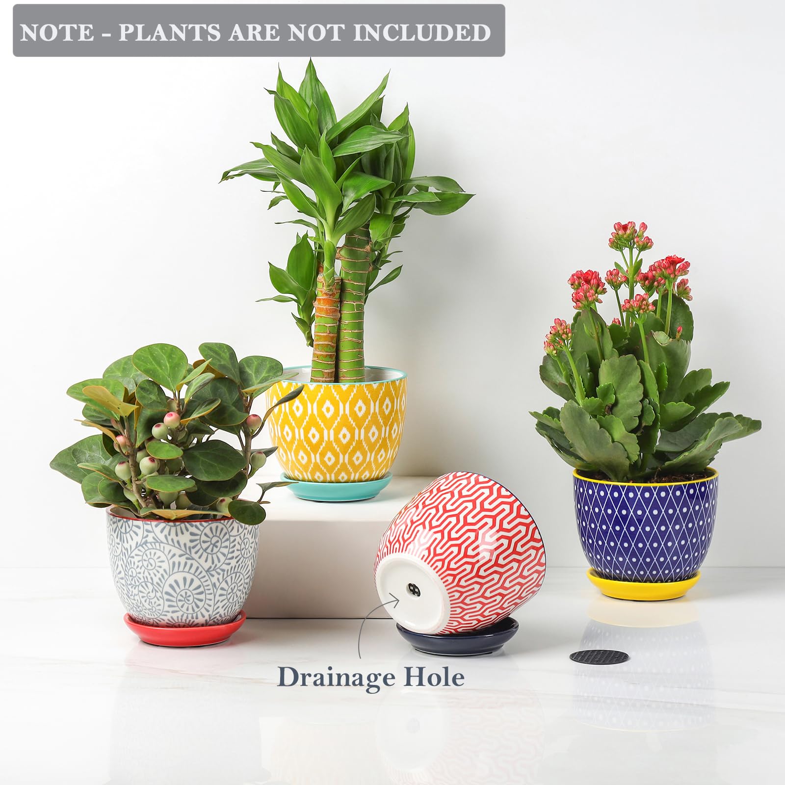 Selamica 3.5 inch ceramic pots on a windowsill