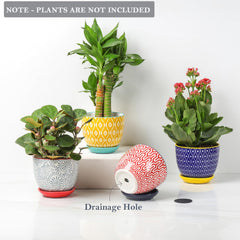 Selamica 3.5 inch ceramic pots on a windowsill