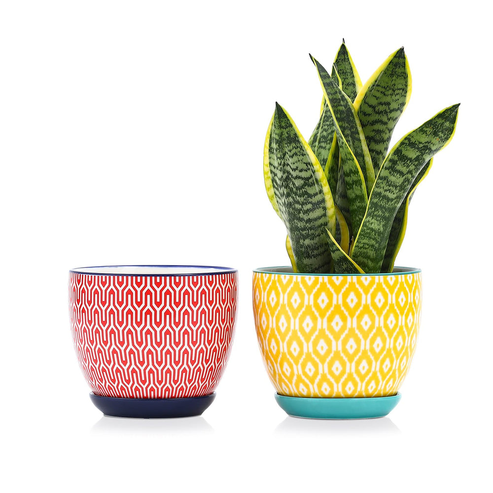 Selamica 6.5 inch ceramic plant pot set of 2 with assorted colours