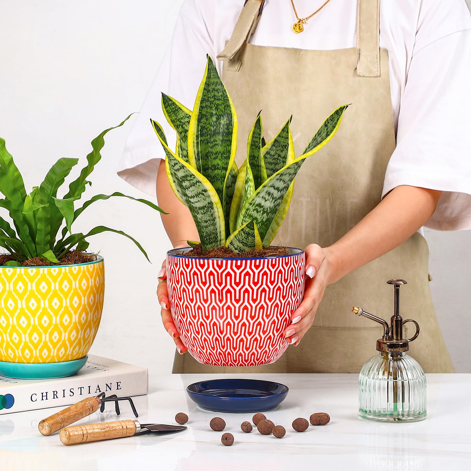 Selamica 6.5 inch ceramic plant pots in assorted colours