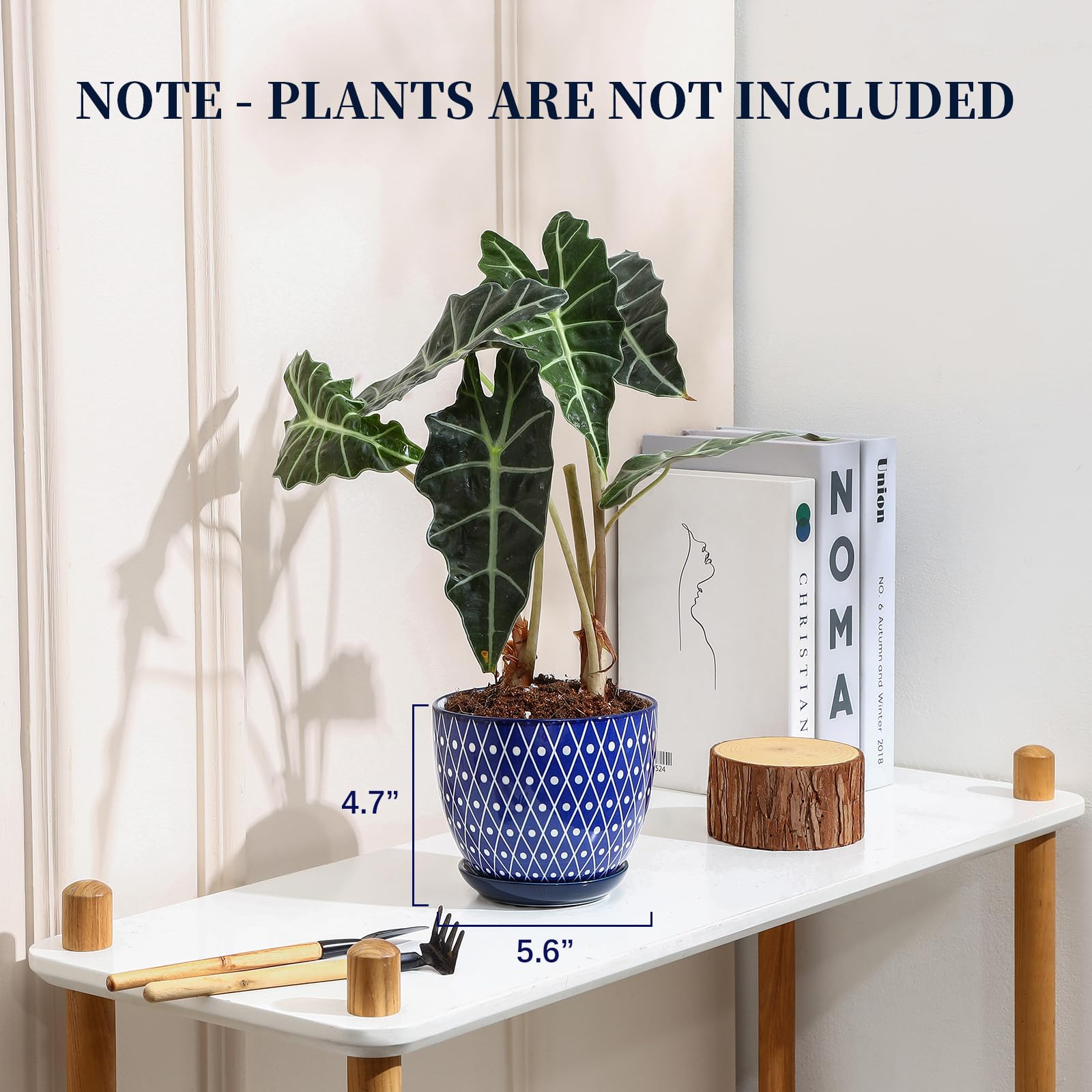 Selamica ceramic plant pot with saucer and mesh pad