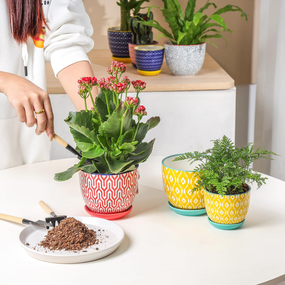Selamica ceramic plant pots displayed on a windowsill