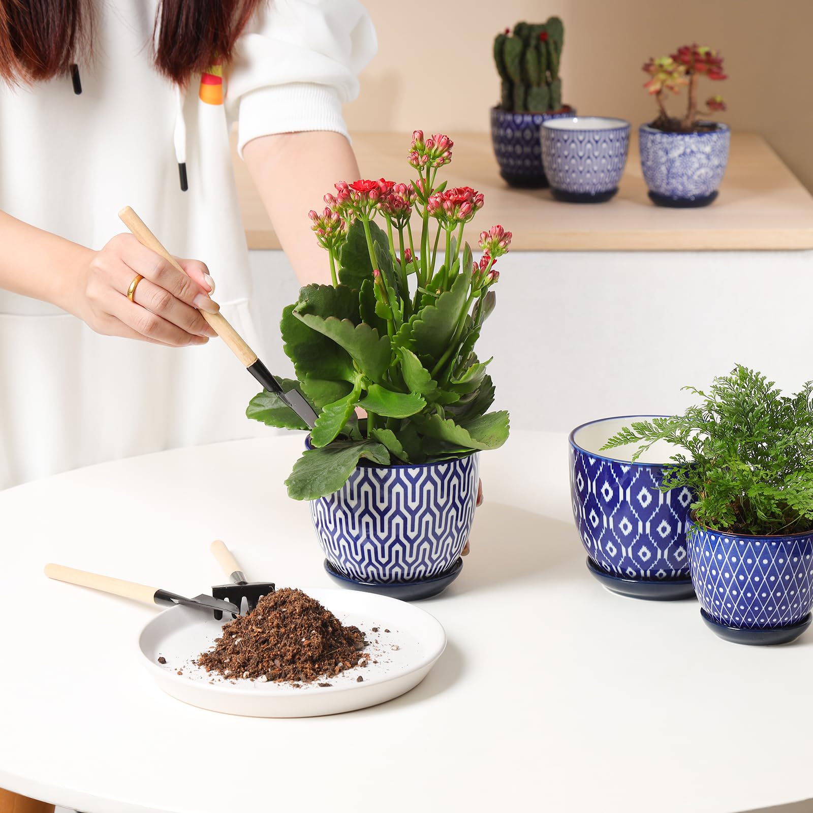 Selamica ceramic pot with mesh pad inside