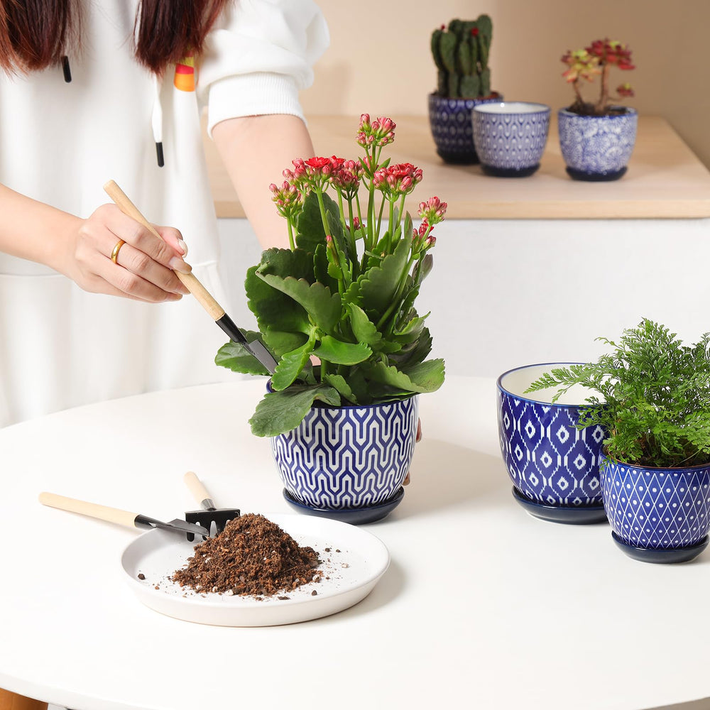 Selamica ceramic pot with mesh pad inside