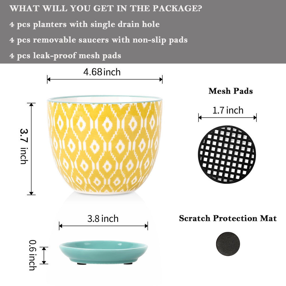 Selamica ceramic pot with removable saucer and mesh pad