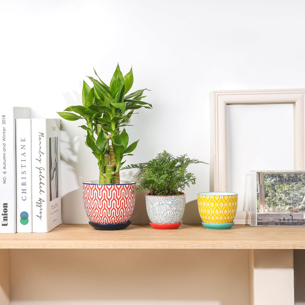 Selamica ceramic pots in a modern kitchen setting