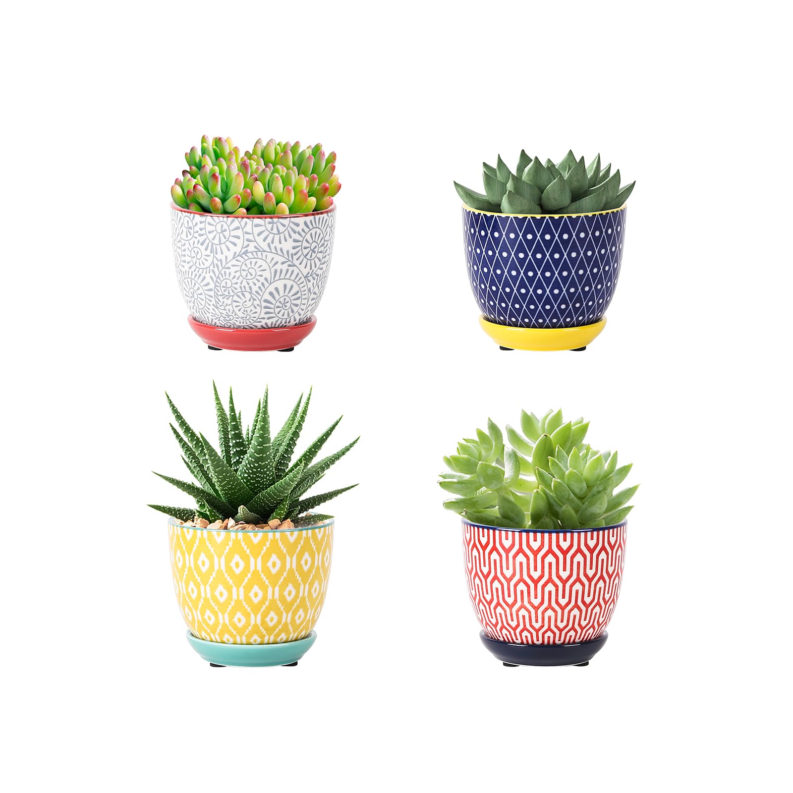Selamica ceramic succulent pots set of 4 in assorted colors