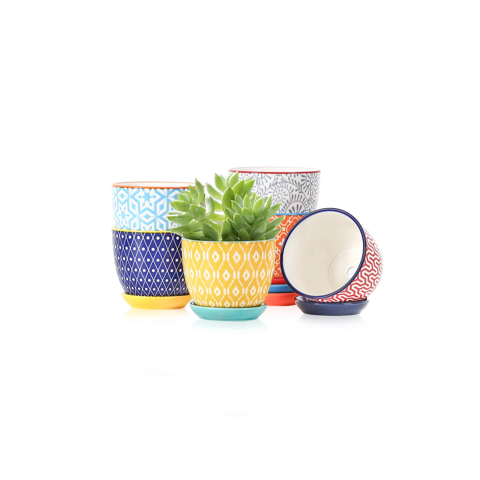 Selamica Ceramic Succulent Pots set of 6 in assorted colours