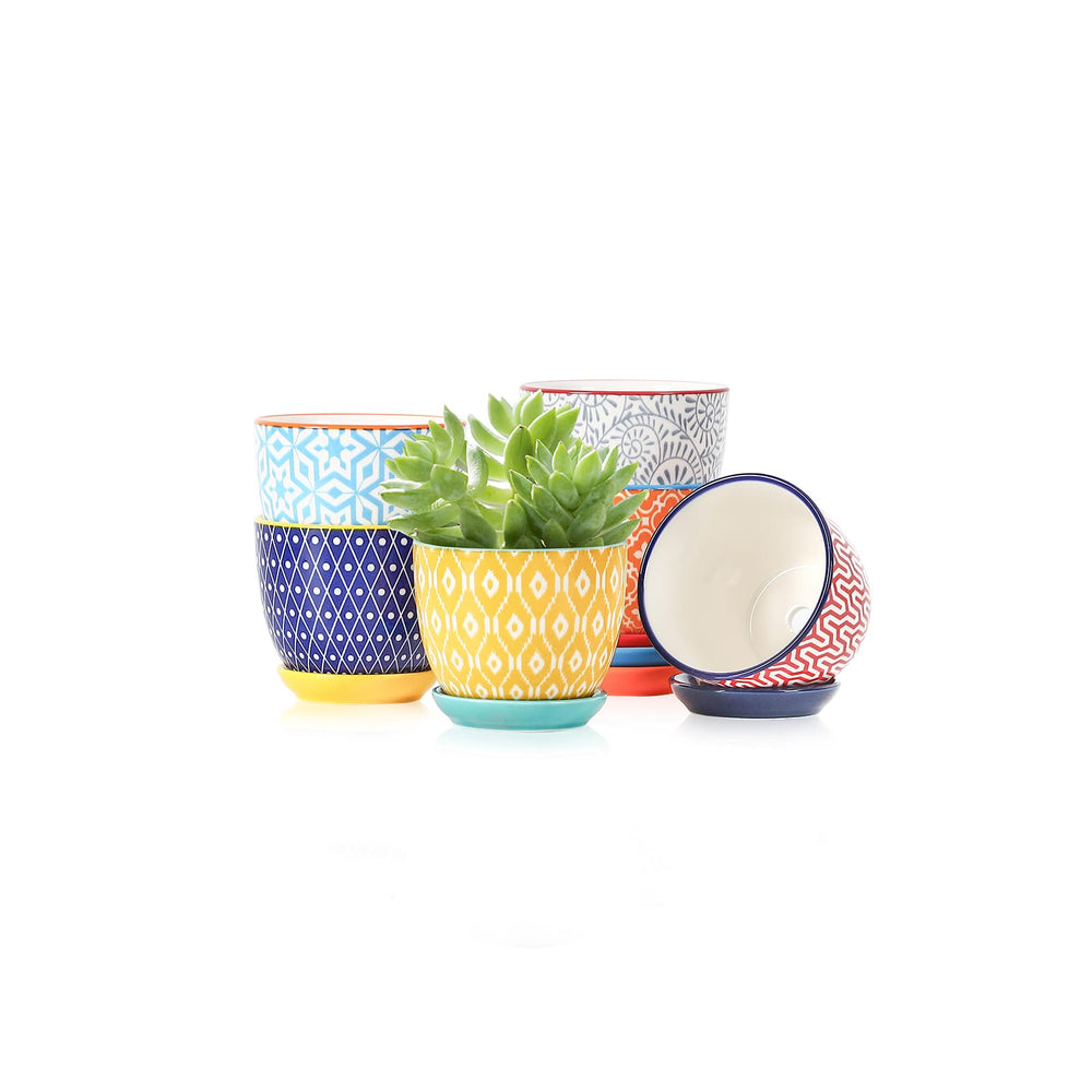 Selamica Ceramic Succulent Pots set of 6 in assorted colours
