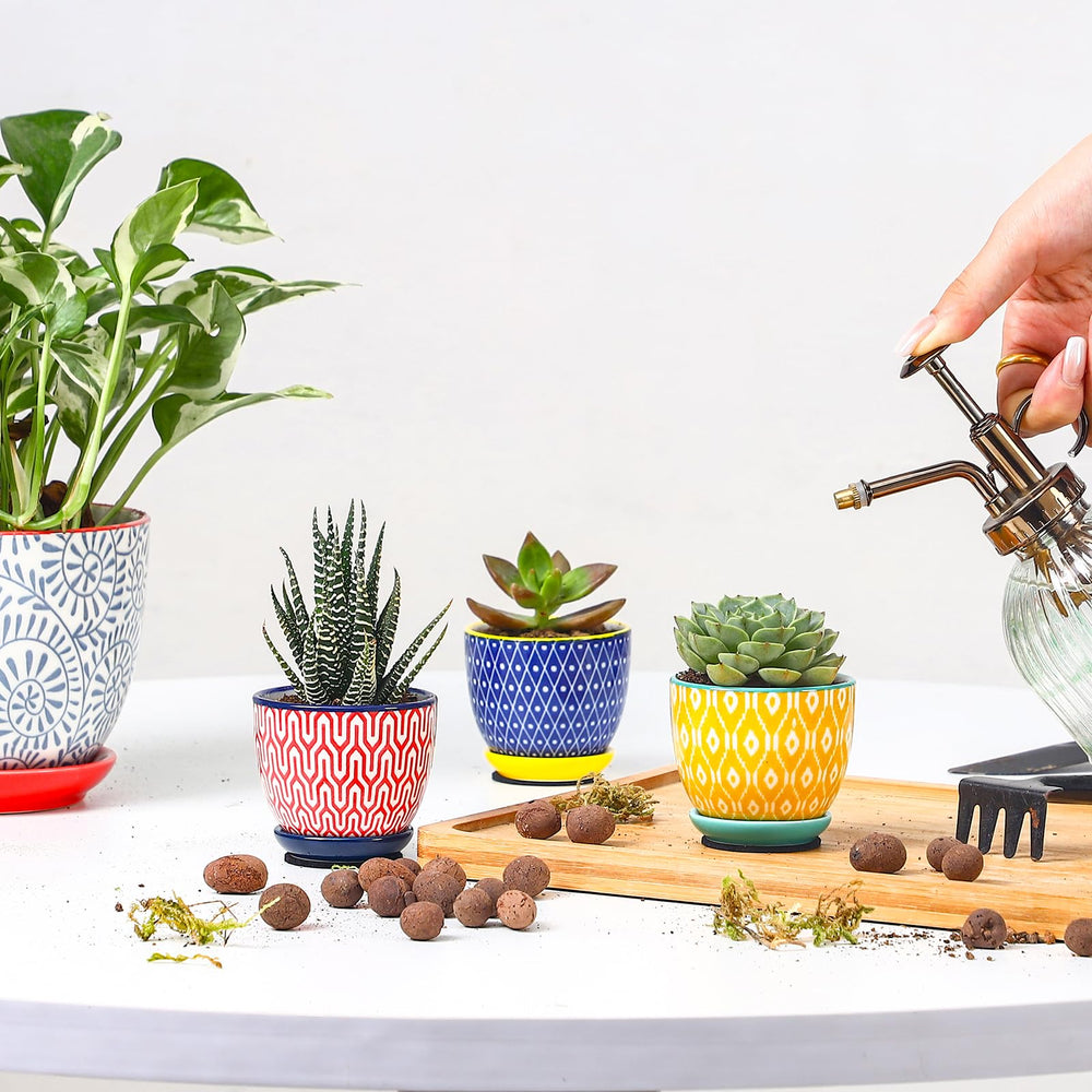 Selamica Mini Pot Set with Vibrant Colour Patterns