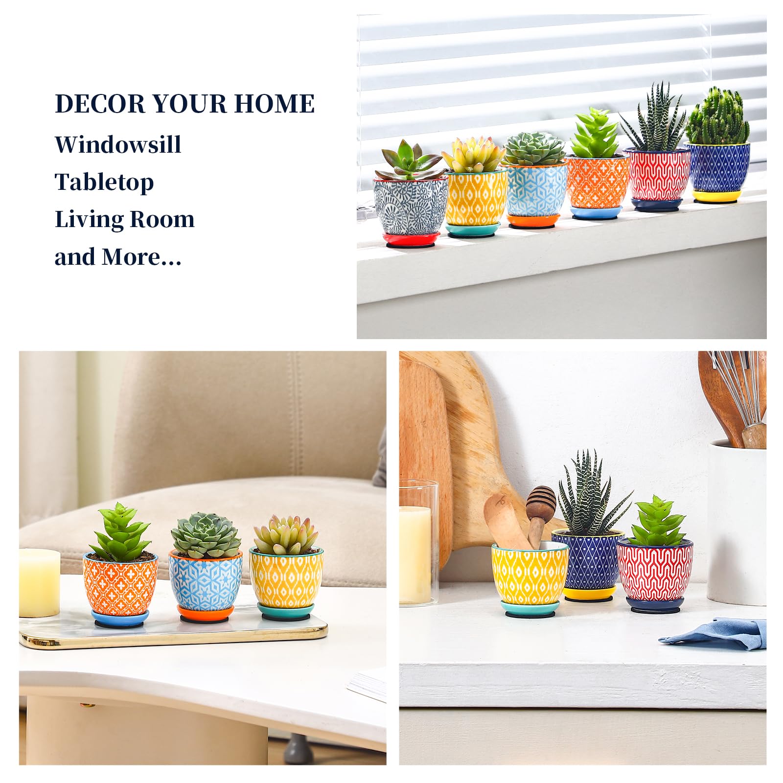 Selamica Mini Pot with Succulent Plant Inside