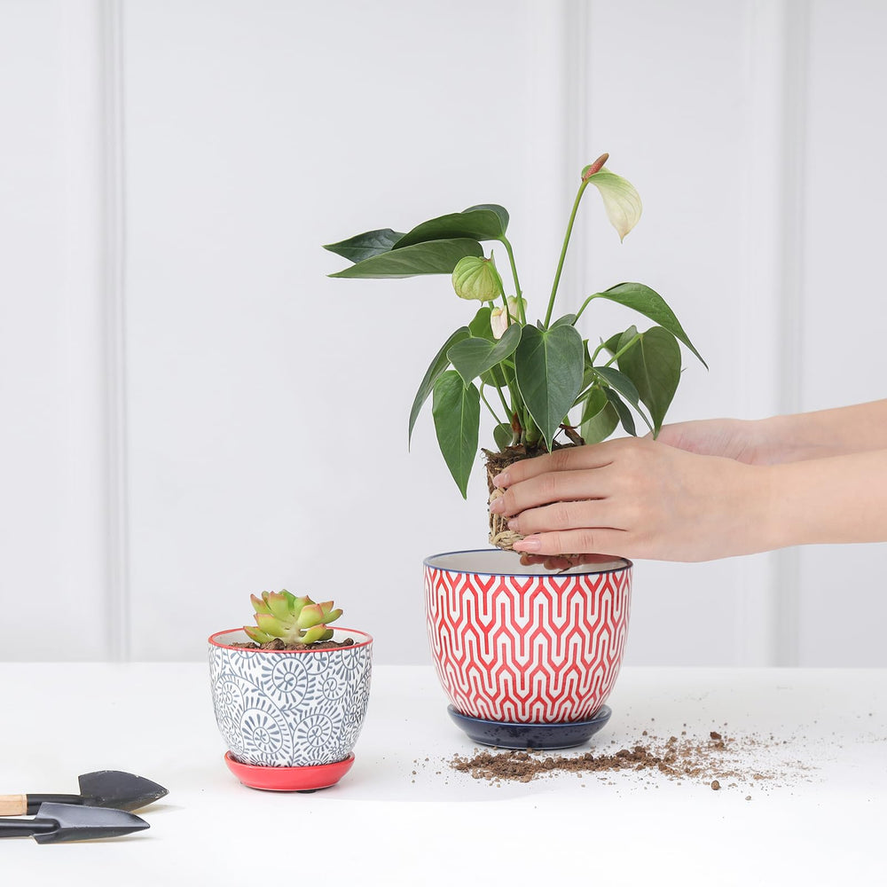 Selamica succulent pots with mesh pads
