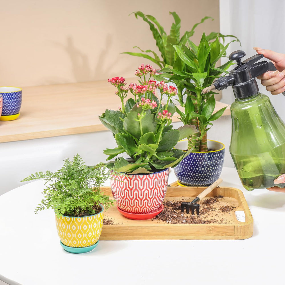 Selamica succulent pots with mesh pads for drainage