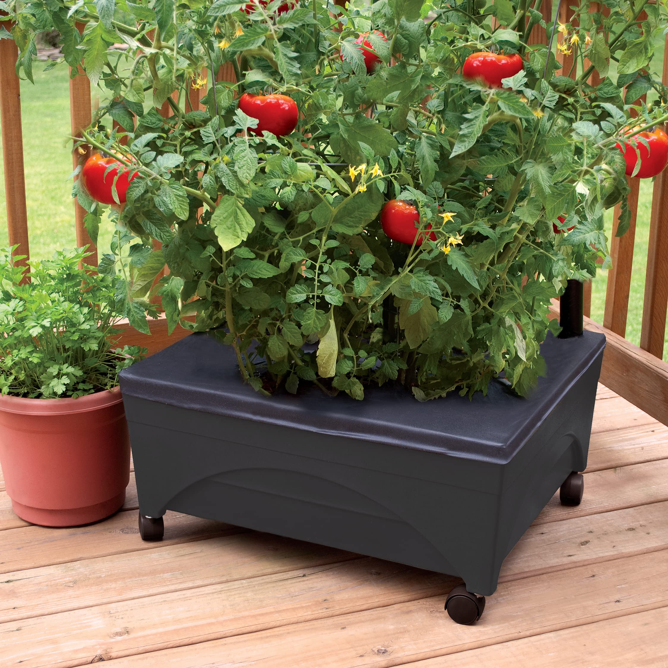 Self-watering feature of Emsco Group City Picker Grow Box