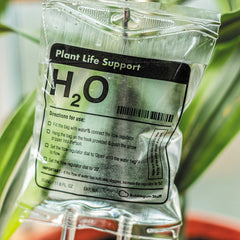 Self-watering system set up with the Plant Life Support