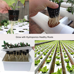 Self-watering wick cord alongside ORIMERC net pots