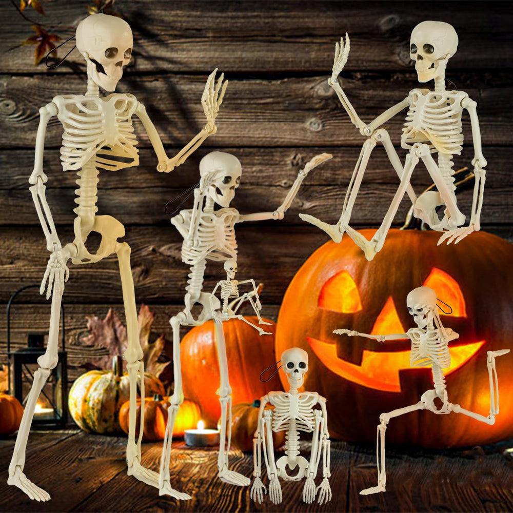 SEMITIMES skeletons displayed at a Halloween party