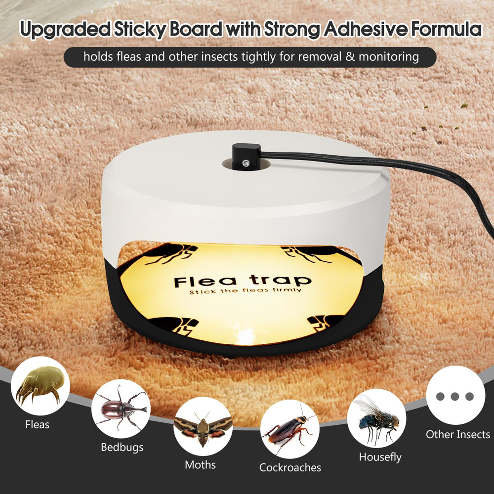 SENITEK EARPADS Flea Trap in a living room setting
